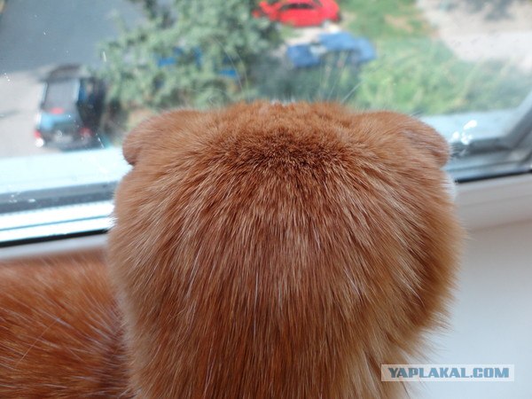Без квадратов