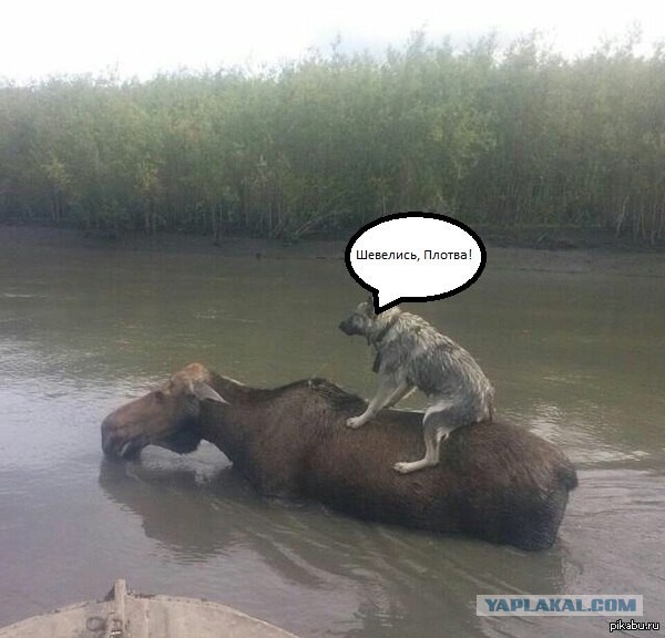 Бедные студенты