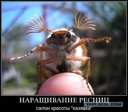 Демотиваторы 30