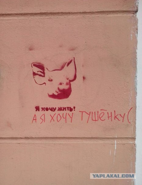 Прикольные объявления и надписи