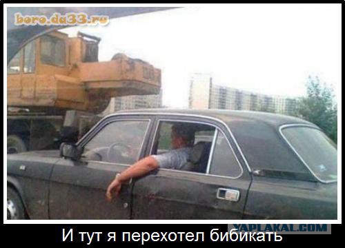 Руки... ноги... главное - крылья!
