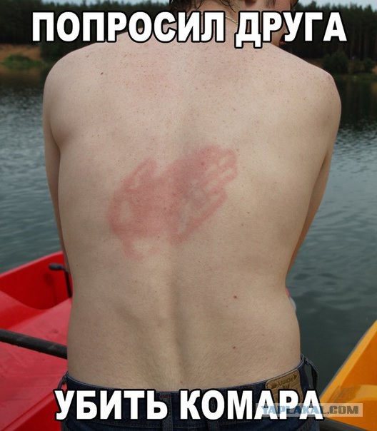 Ужасы и приколы из соцсетей 18+