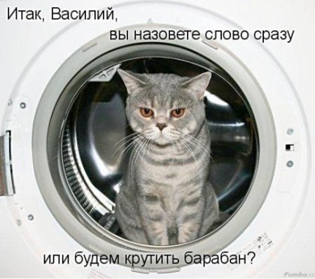 Цитаты из нашей жизни