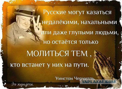 Голосование в NY Дейли Ньюс