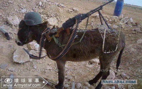 10 политических картинок часть 11