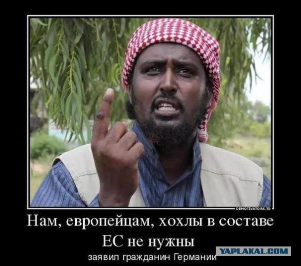 10 политических картинок часть 14