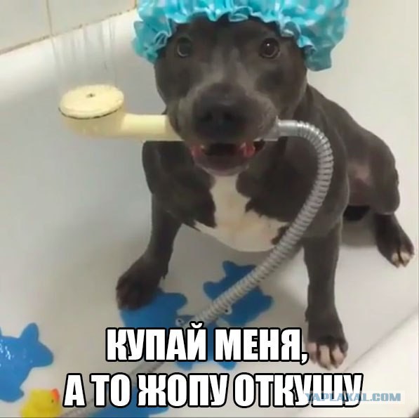 Картинки набрались разные
