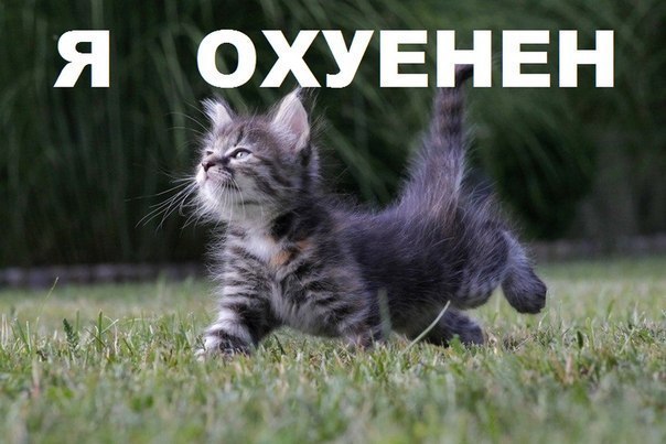 Картинки на пятницу