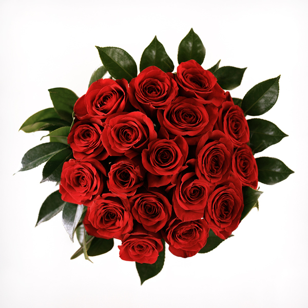 Умер Илья Олейников