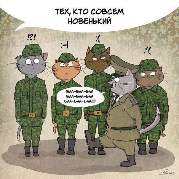 Ну что, отцы, с Праздником! С Днём Советской Армии и Военно-морского Флота!