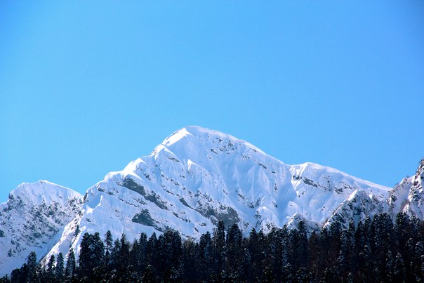 Живу у моря