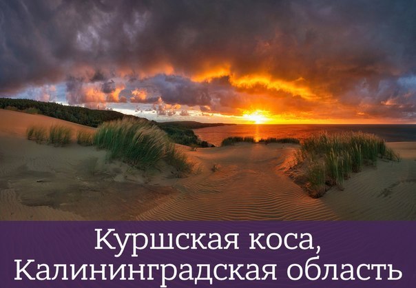 Интересные и веселые картинки