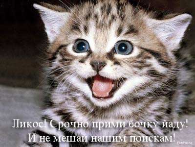 Которозыск, срочно!