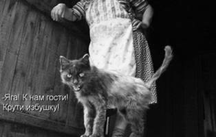 Мохнатые беспредельщики