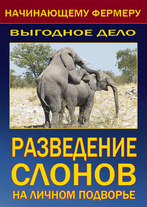 Несколько картинок от меня