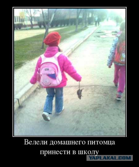 Для Поднятия Настроения - 13
