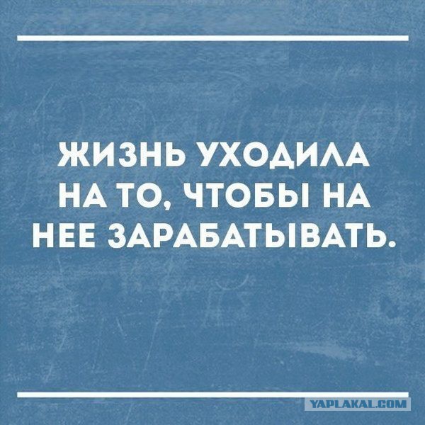 Смешные комментарии 21.08.2016