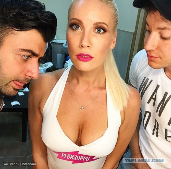 О работе "Ревизорро"