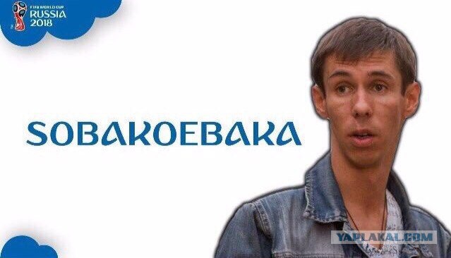 Панин vs пёсик