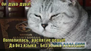 Поклонская снова отжигает