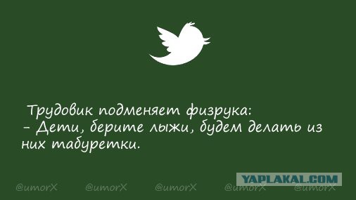 Смешные комментарии из социальных сетей 30.12.2016