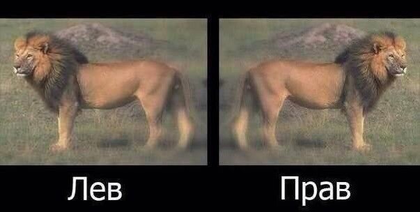 Подборка картинок