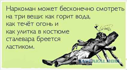 25 порций юмора не для всех
