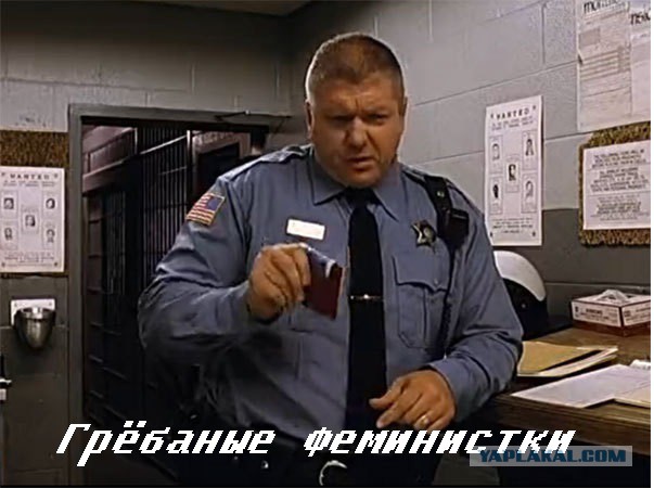 Весеннее обострение в Питере