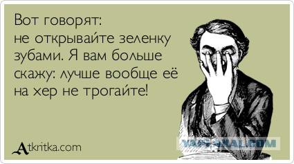 Навального облили зеленкой перед открытием предвыборного штаба в Барнауле