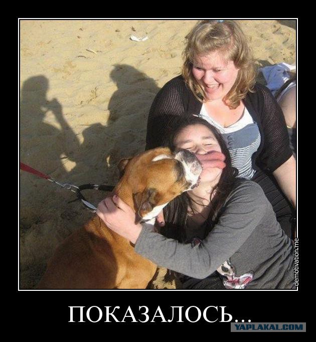 Картинки в черных рамках с подписями