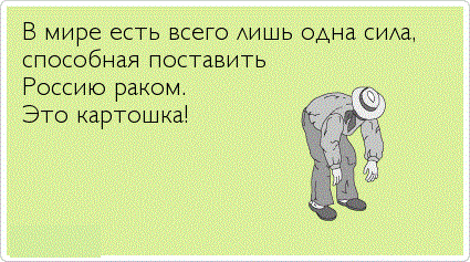 На дачу фигачу