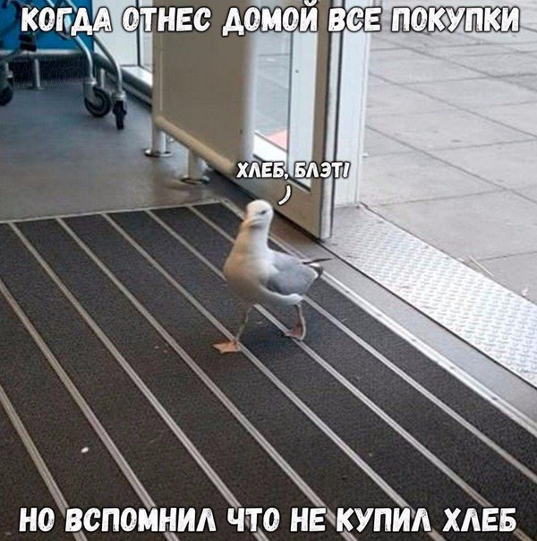 Комментарии, приколы и прочие маразмы