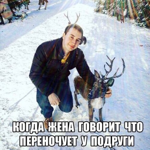 Работа не волк, но картинки сами себя не посмотрят!