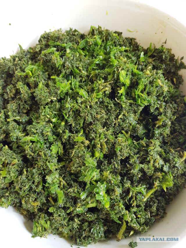 Кулинары поздравляют ЯП с днём рождения!