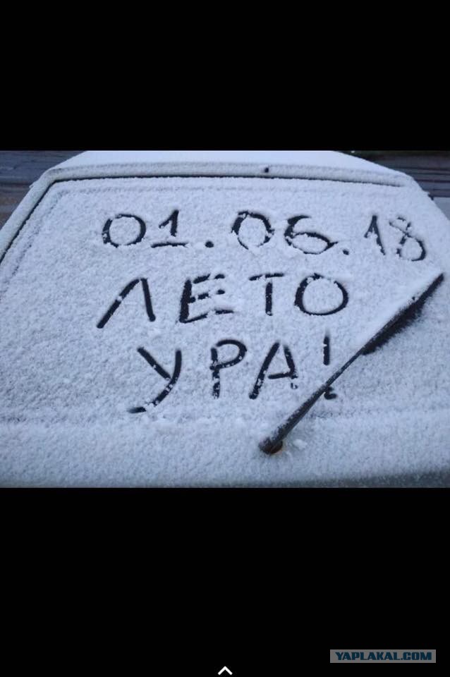 Смешные комментарии из социальных сетей 01.06.2018