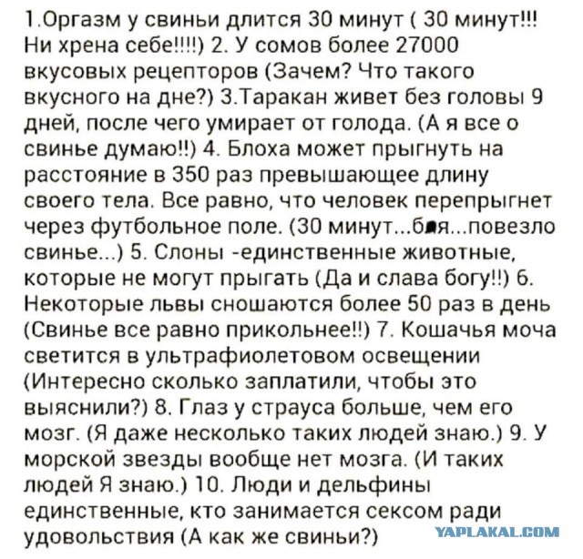 Смешные комментарии из социальных сетей 08.06.2018