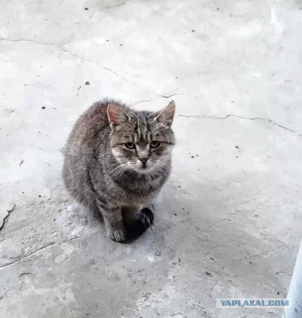 Про отдых в Одессе, с предисловием про отдых в Затоке