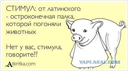 Керченская "колумбиана"