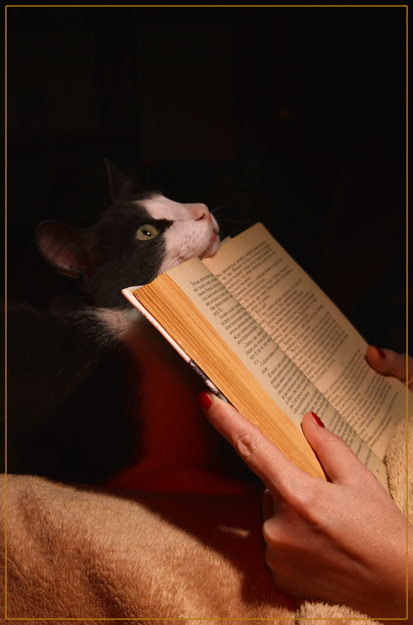 Милоты пост