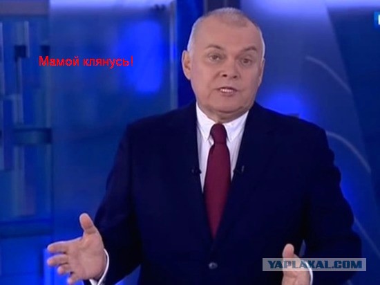 Кадыров вступился за оскорбленную в ПАСЕ журналистку