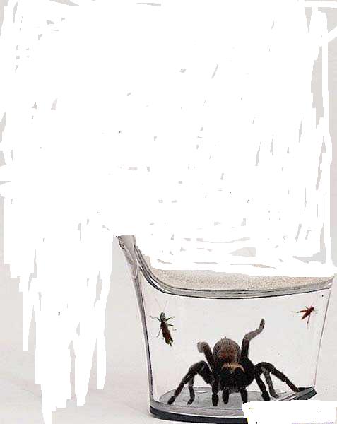 Угадайки