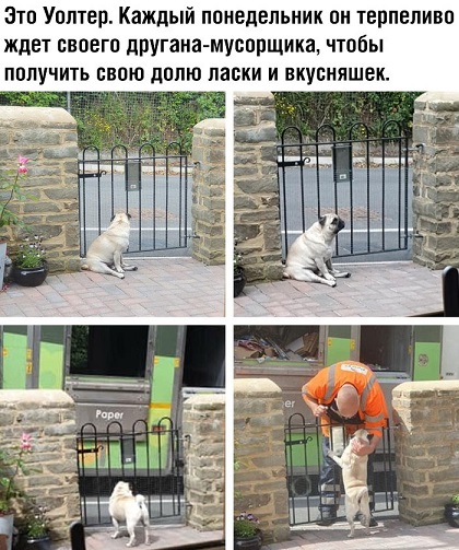 Подборка интересных и веселых картинок 09.07.19