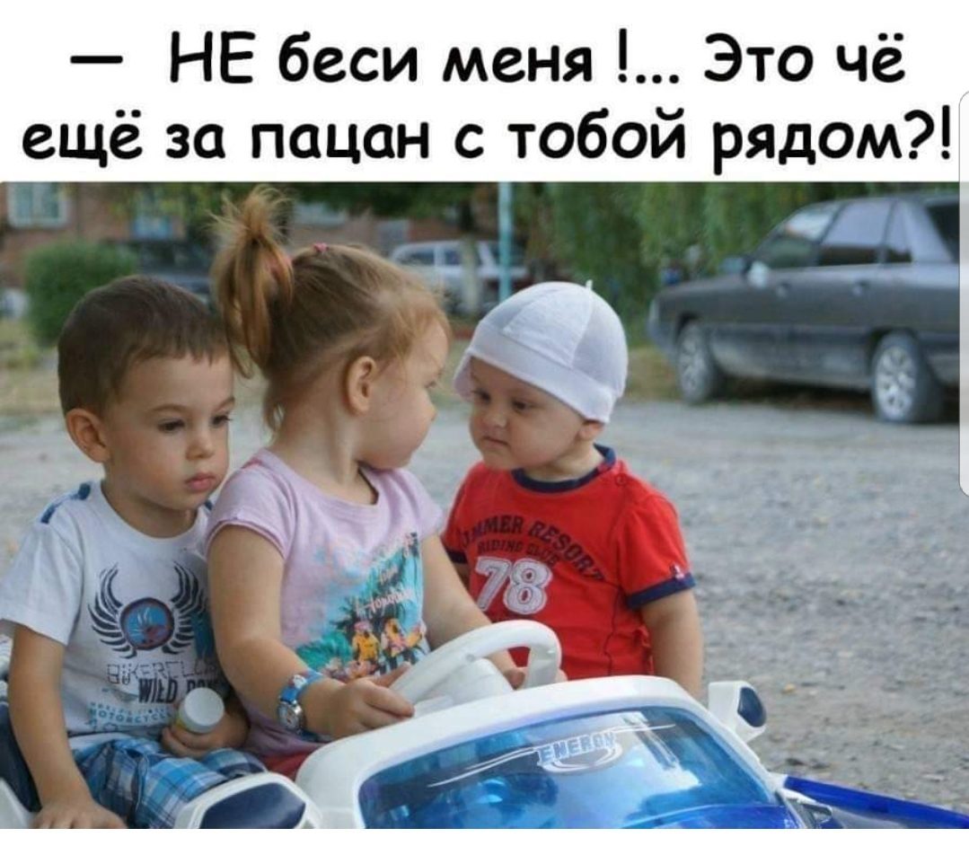 13273568.jpg