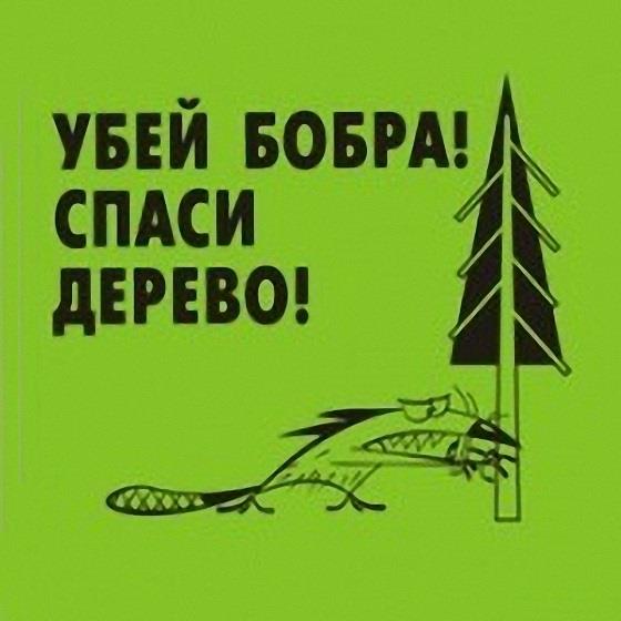 Оказал неоценимую помощь