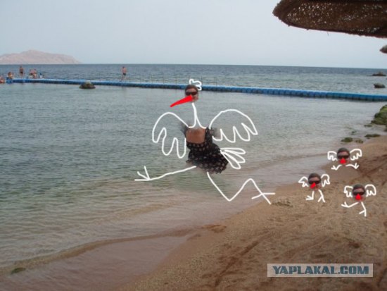 Фотожаба: Улетаю