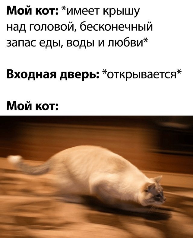 Чуток картинок 31.05.20