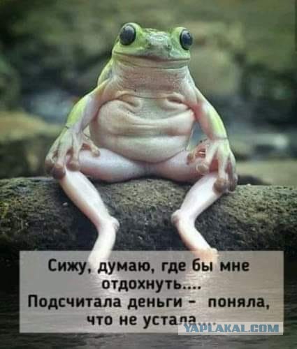 Ну и  ещё немного слегка пошлых картинок с надписями 16+ (25.06)