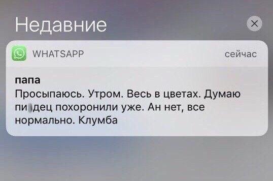 Немного картинок для настроения 25.06.20