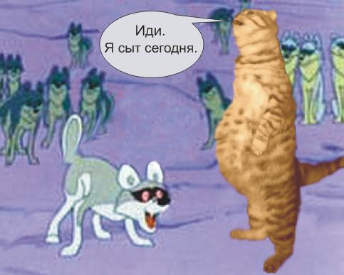 Кормим кота с рук