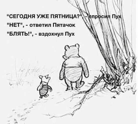 Фотки и картинки: юморные и красивые, забавные и милые 15.10.20